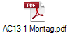 AC13-1-Montag.pdf