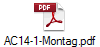 AC14-1-Montag.pdf